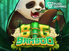 Mobile casino slot13